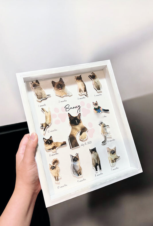 Personalised 3D Milestone Frame – Celebrating Your Pet's First Year